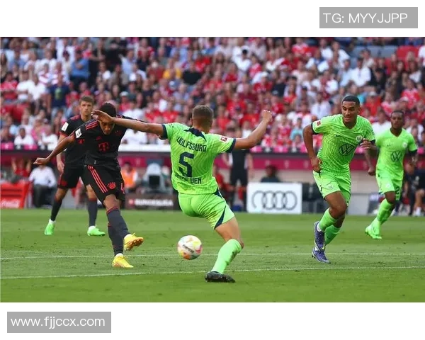 拜仁慕尼黑与沃尔夫斯堡历史交锋数据分析与战绩回顾